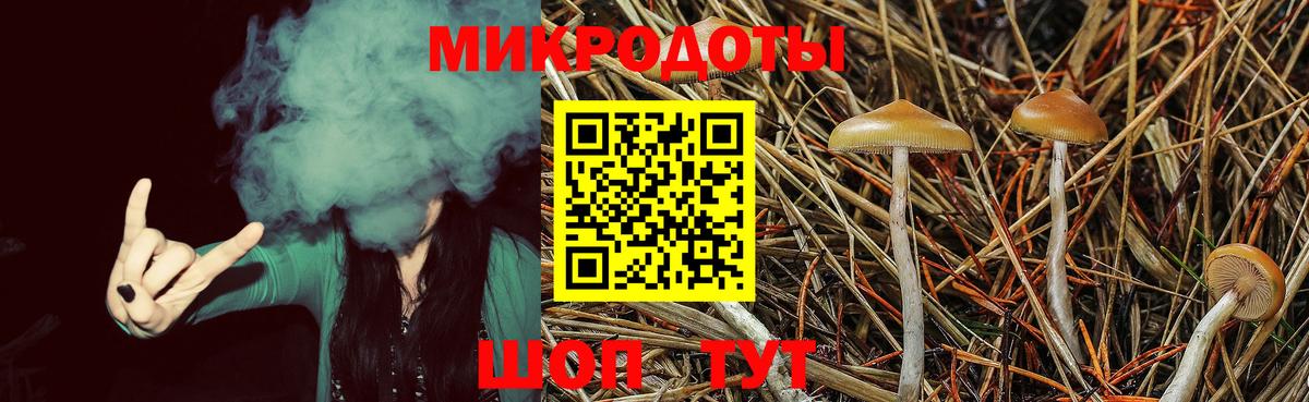 где купить наркоту  Псилоцибиновые грибы прущие грибы  Вход с VPN  Галлюциногенные грибы мухоморы  Звенигород 