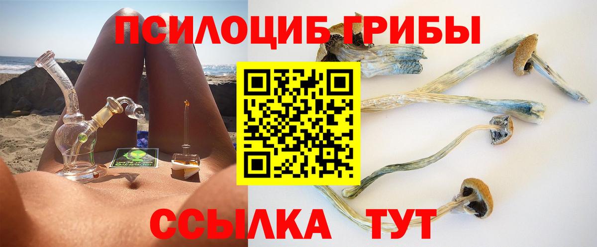 Псилоцибиновые грибы мухоморы Звенигород